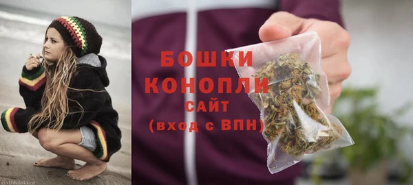 индика Рославль