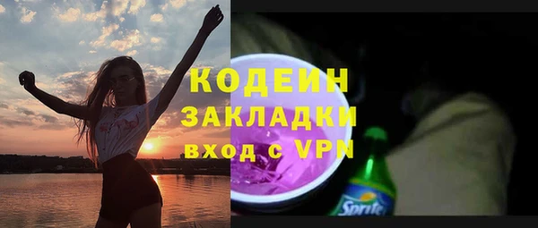 индика Рославль