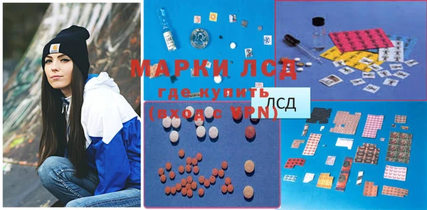 индика Рославль
